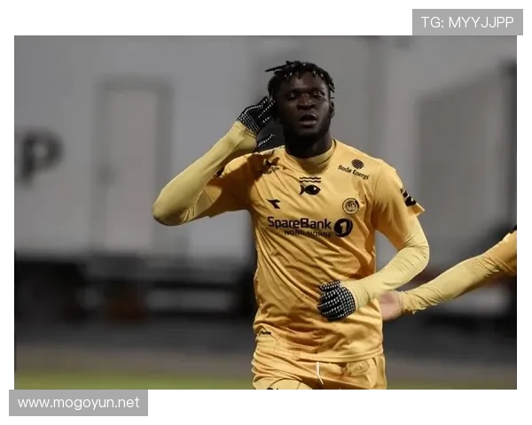 博尼法斯:从欧战黑马到顶级联赛的荣誉跃迁分析 博尼法斯:从欧战黑马到顶级联赛的荣誉跃迁分析