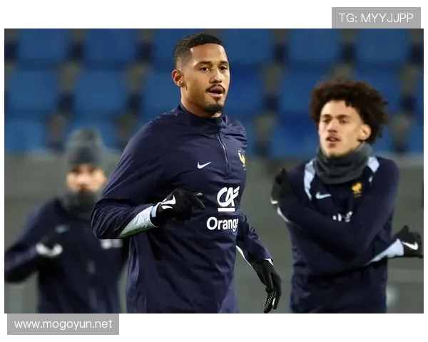 德尚更衣室管理成效显现，法国队凝聚力持续提升